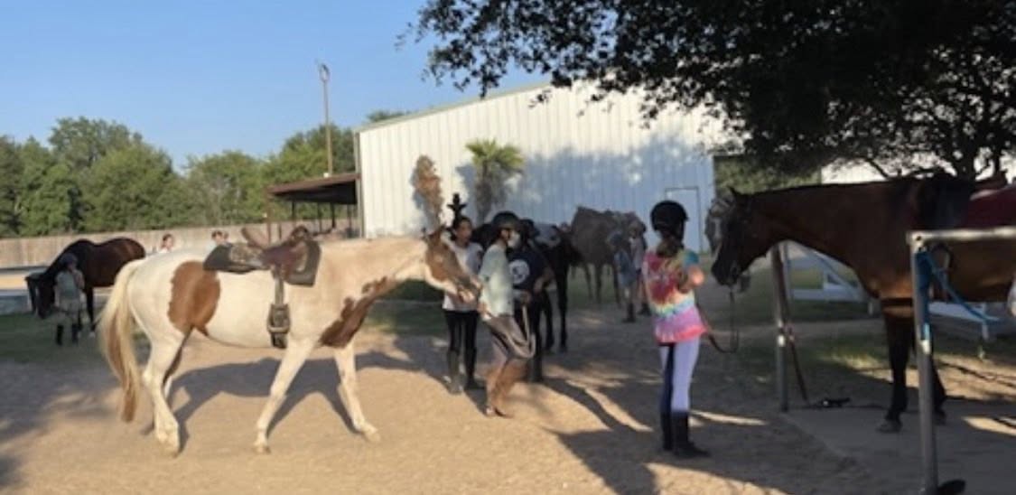 Summer campers learning horse care at the barn